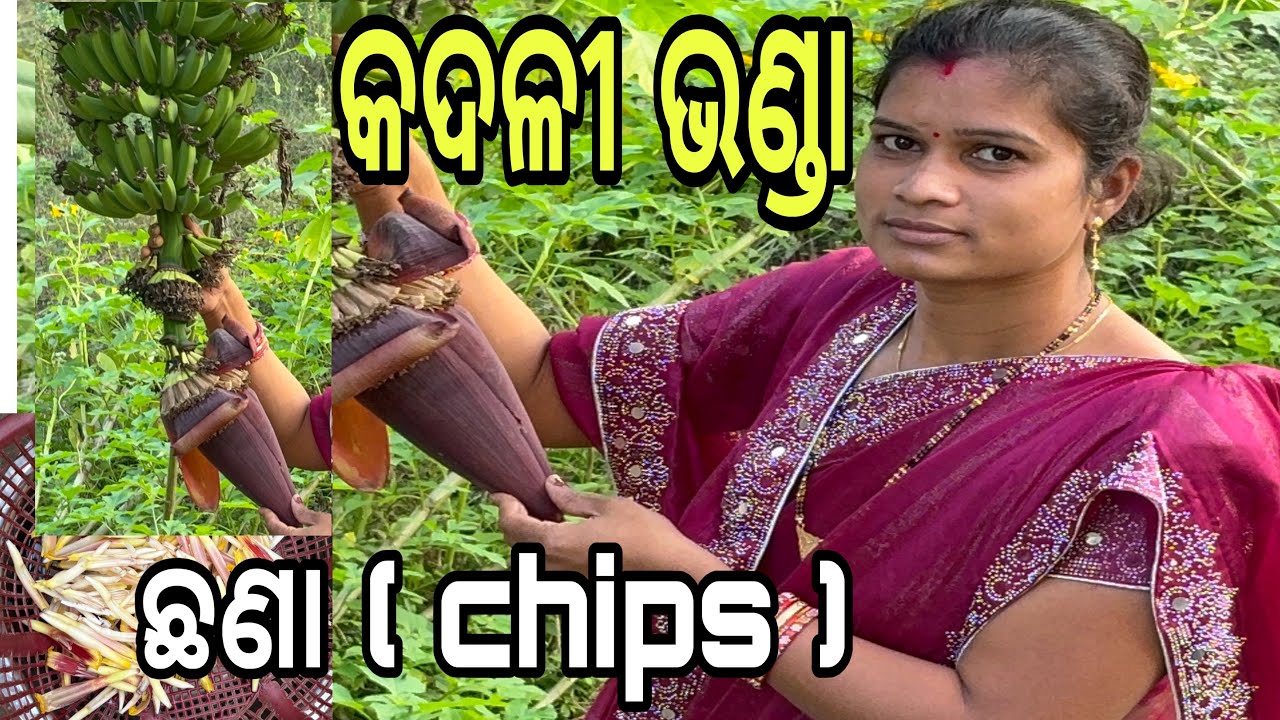Banana flower fry | କଦଳୀ ଭଣ୍ଡା ଛଣା recipe | cooking vlog/ recipe / #rashmivillagekitchen
