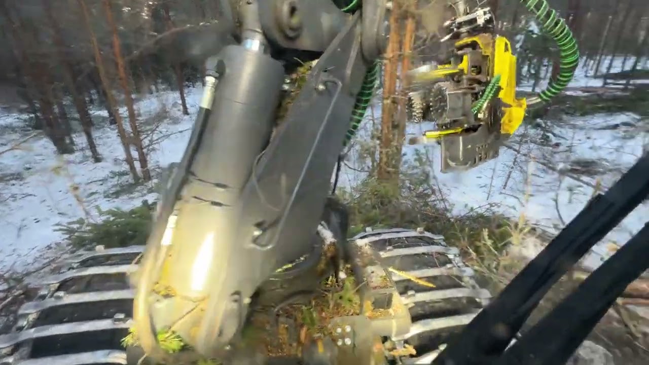 John Deere 1170G 6WD 423/IBC first thinning