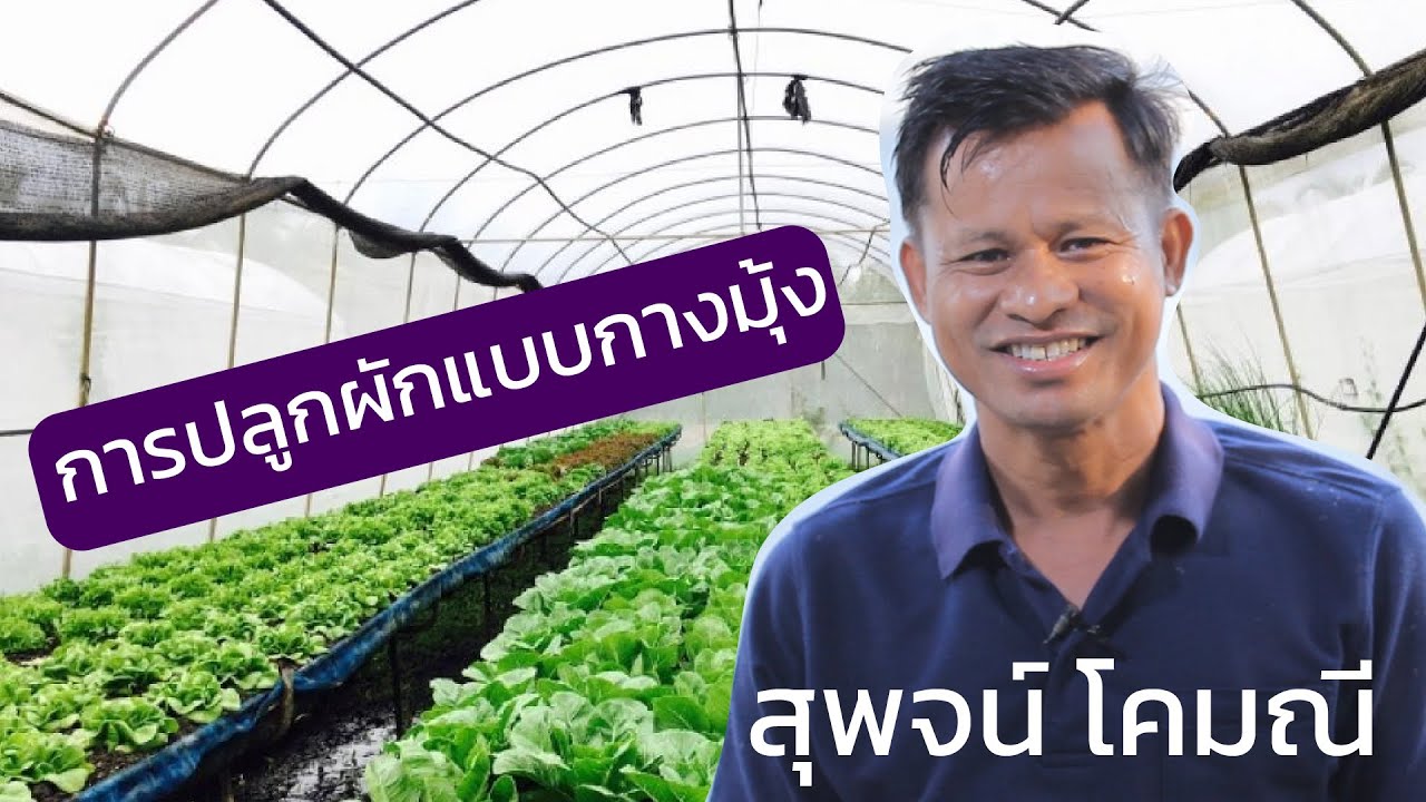 EP.6 การปลูกผักแบบกางมุ้ง โดย ครูสุพจน์ โคมณี