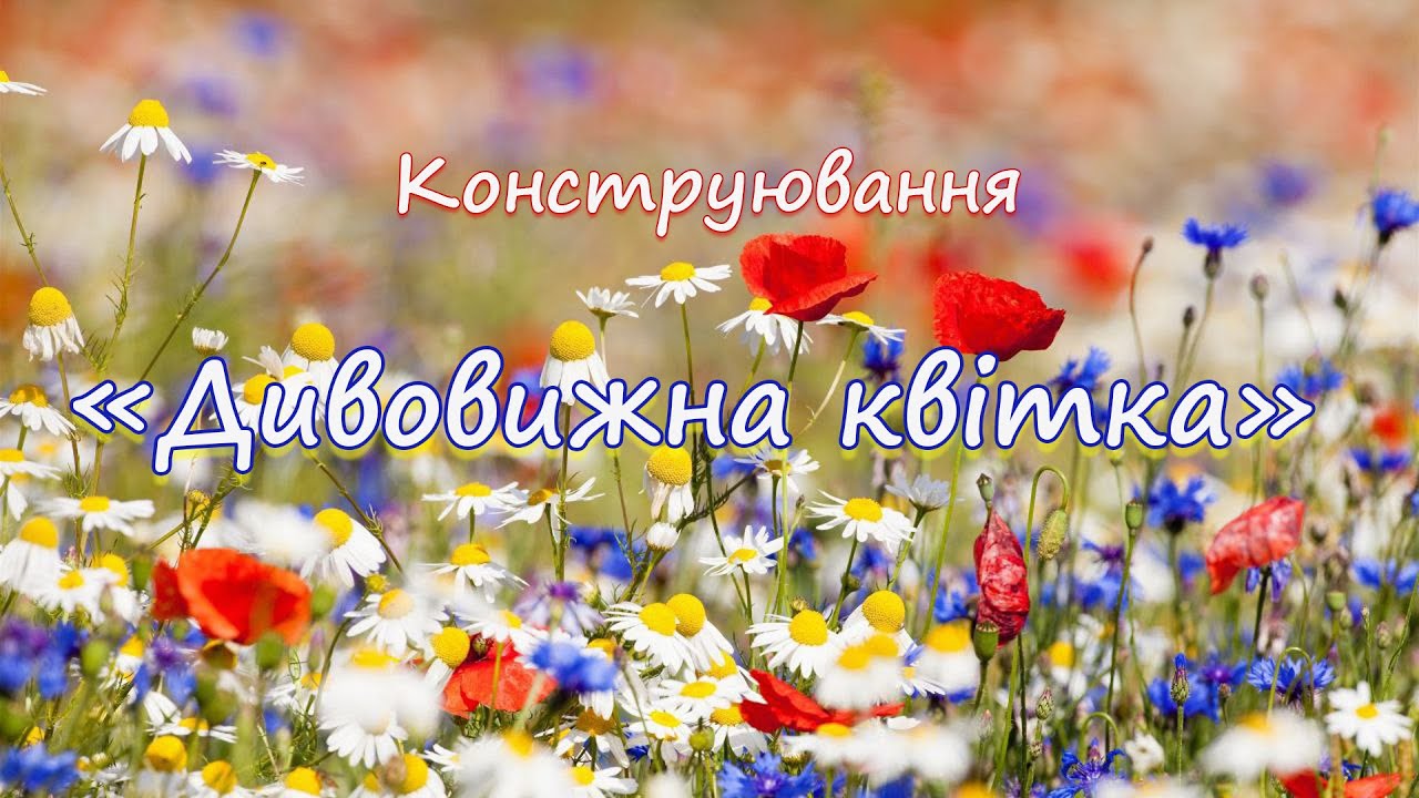 Конструювання 
