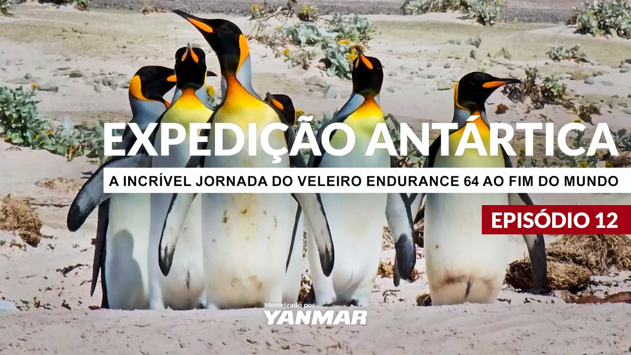 12 | Expedição Antártica: Ilhas Falkland e o início do retorno para o Brasil | NÁUTICA