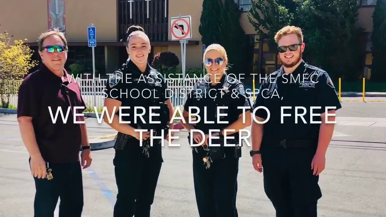 California Police Officers Rescue Trapped Deer