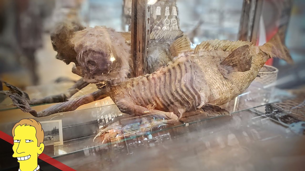 THE BANFF MERMAN | Banff Trading Post Fiji Mermaid