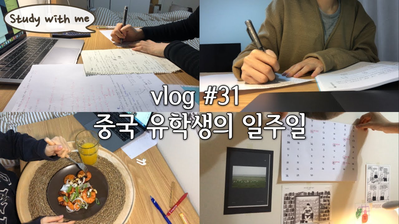 eng) 중국 자취생의 고기없는 식탁 ft.두부와 새우, 바쁜 개강, 같이 공부해요