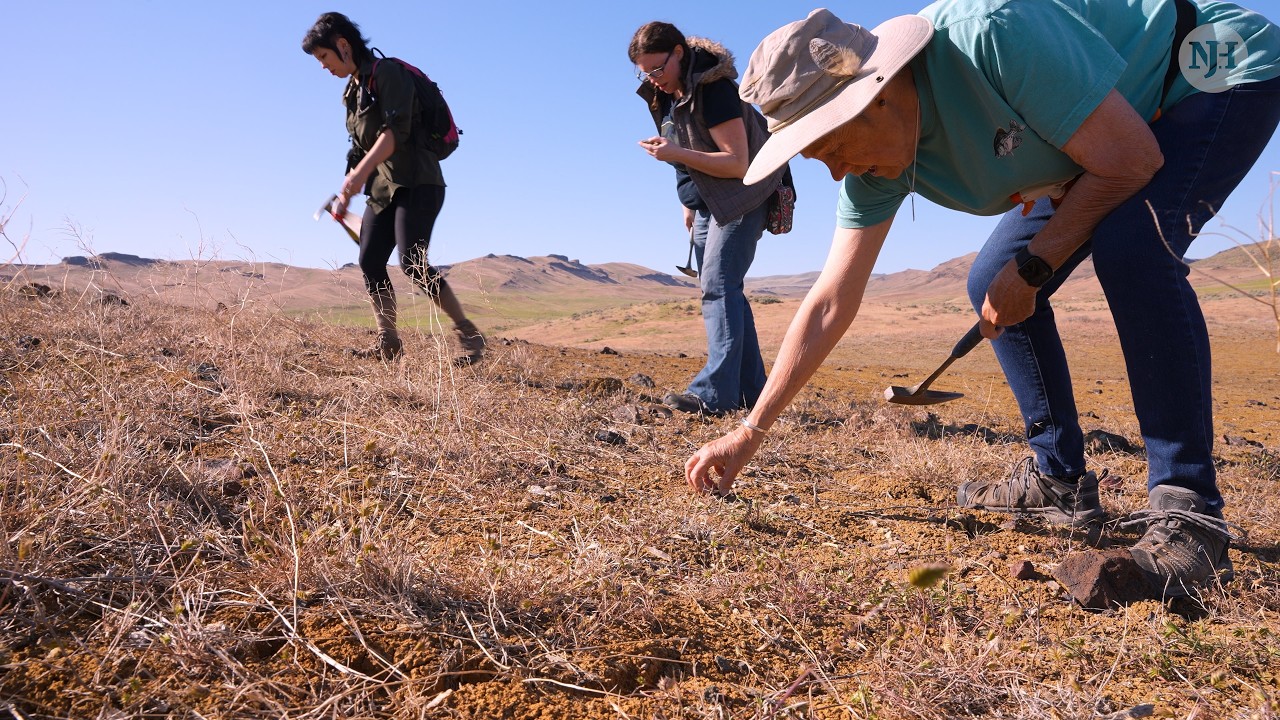 (Hobbies) Rockhounding
