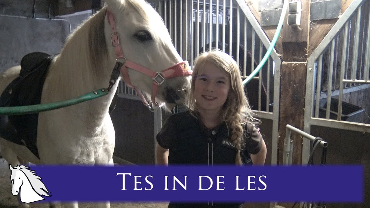 Tes in de les, Halloween en een tip.... * Hart voor Paarden *