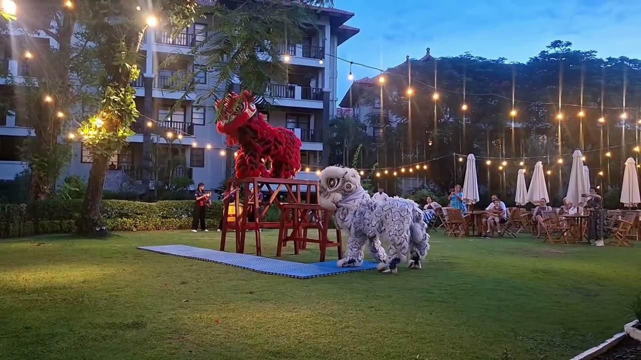 เชิดสิงโต happy chinese new year