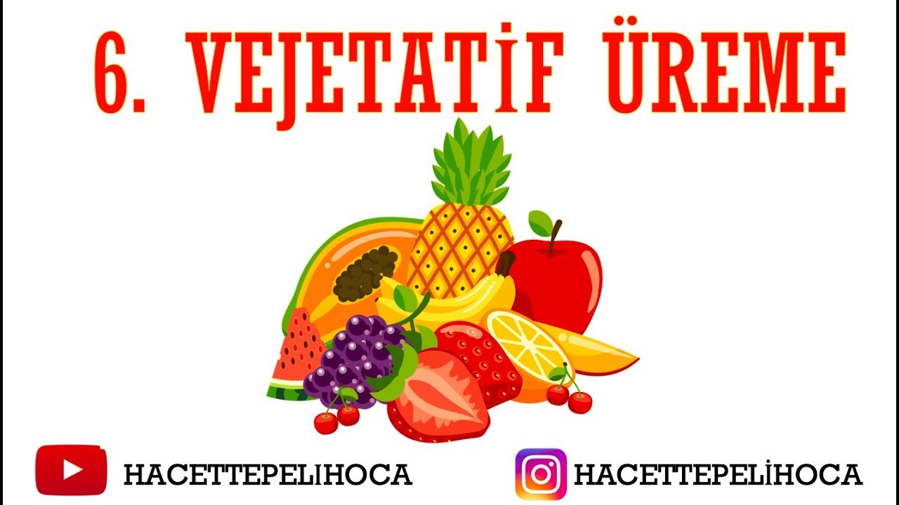 91 - ÜREME - 15- VEJETATİF ÜREME - | TYT | 10. Sınıf | #hacettepelihoca