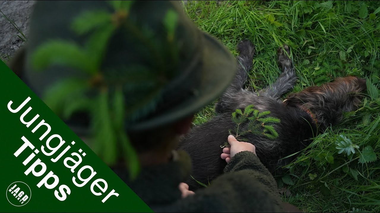Brüche auf der Jagd | Worauf Du achten solltest | Jungjägertipps