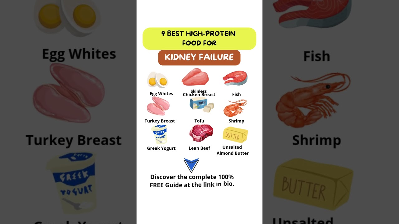 9 Best High proteine for food kidney failure 