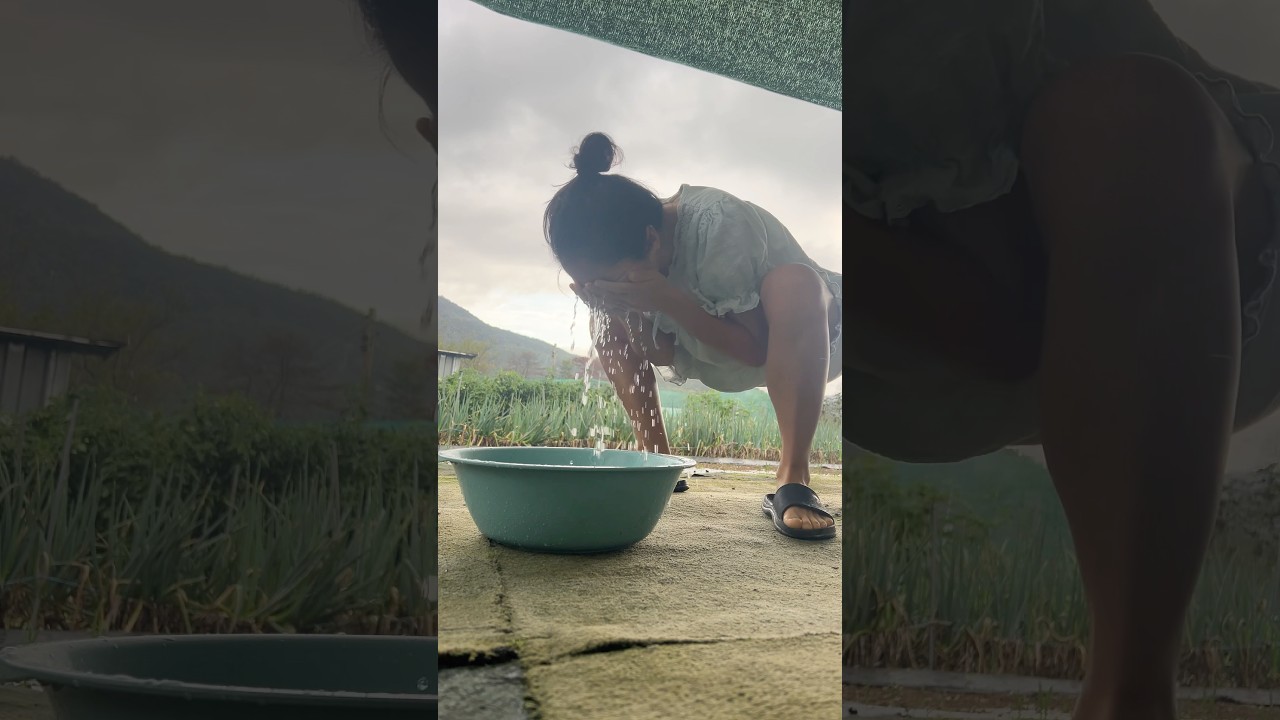 Morning routine in the countryside of South Korea🌧️🌾