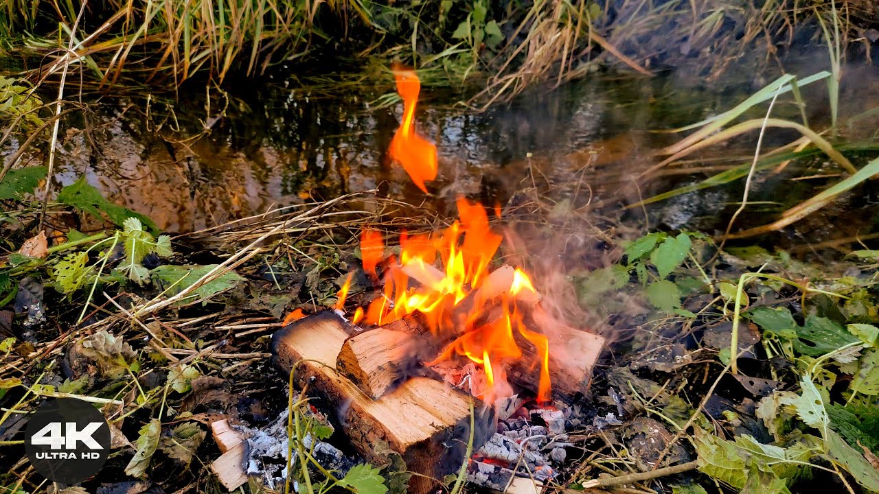 🐦 4K Campfire by a Forest Stream with Birdsong | 3 Hours of Fire & Birds (No AI)