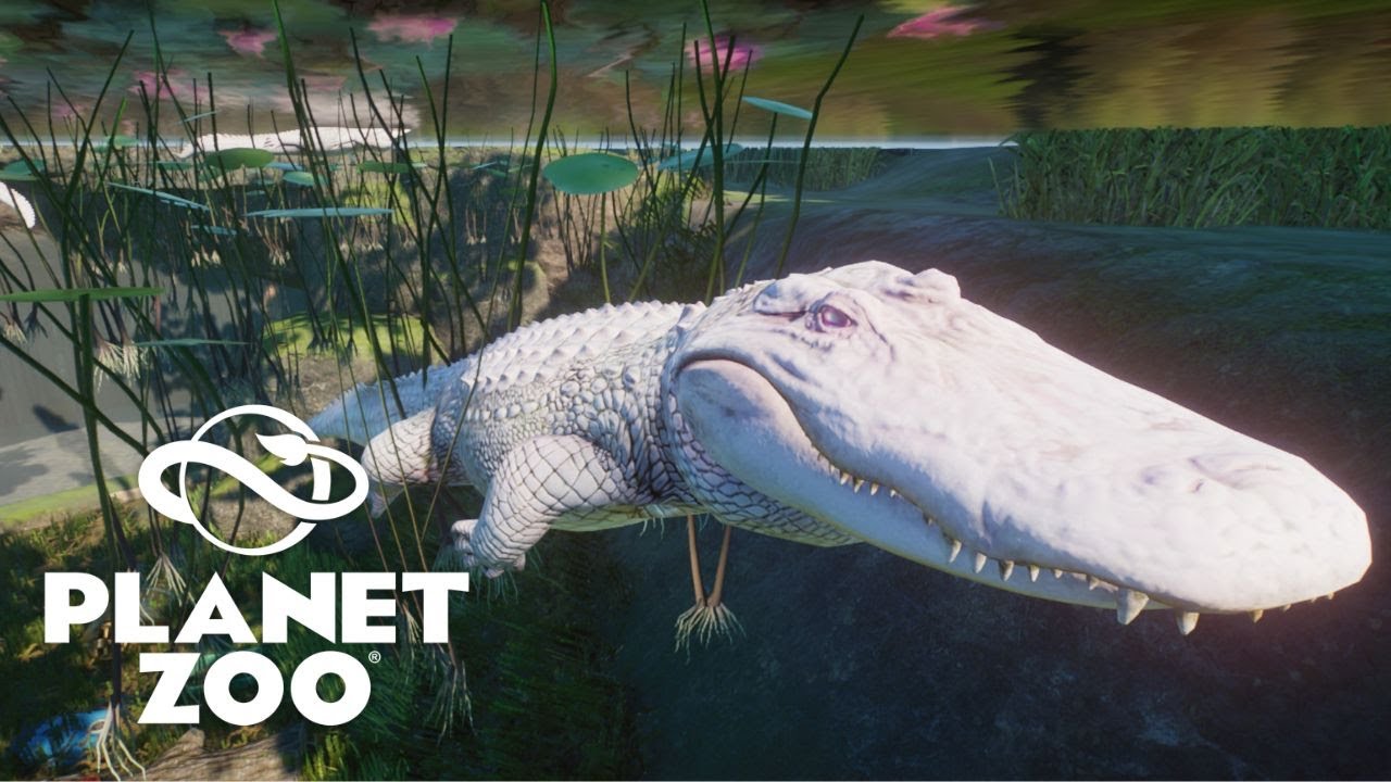 Albino Alligator Habitat Speed Build- Planet Zoo