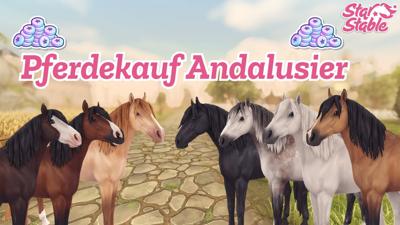 SSO 🐴 Ich kaufe ALLE neuen Andalusier ♥️