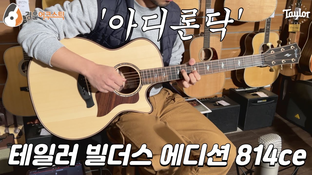 [테일러기타] 테일러 빌더스 에디션 814ce 기타 리뷰 (Taylor Builder's Edition 814ce Guitar Review)