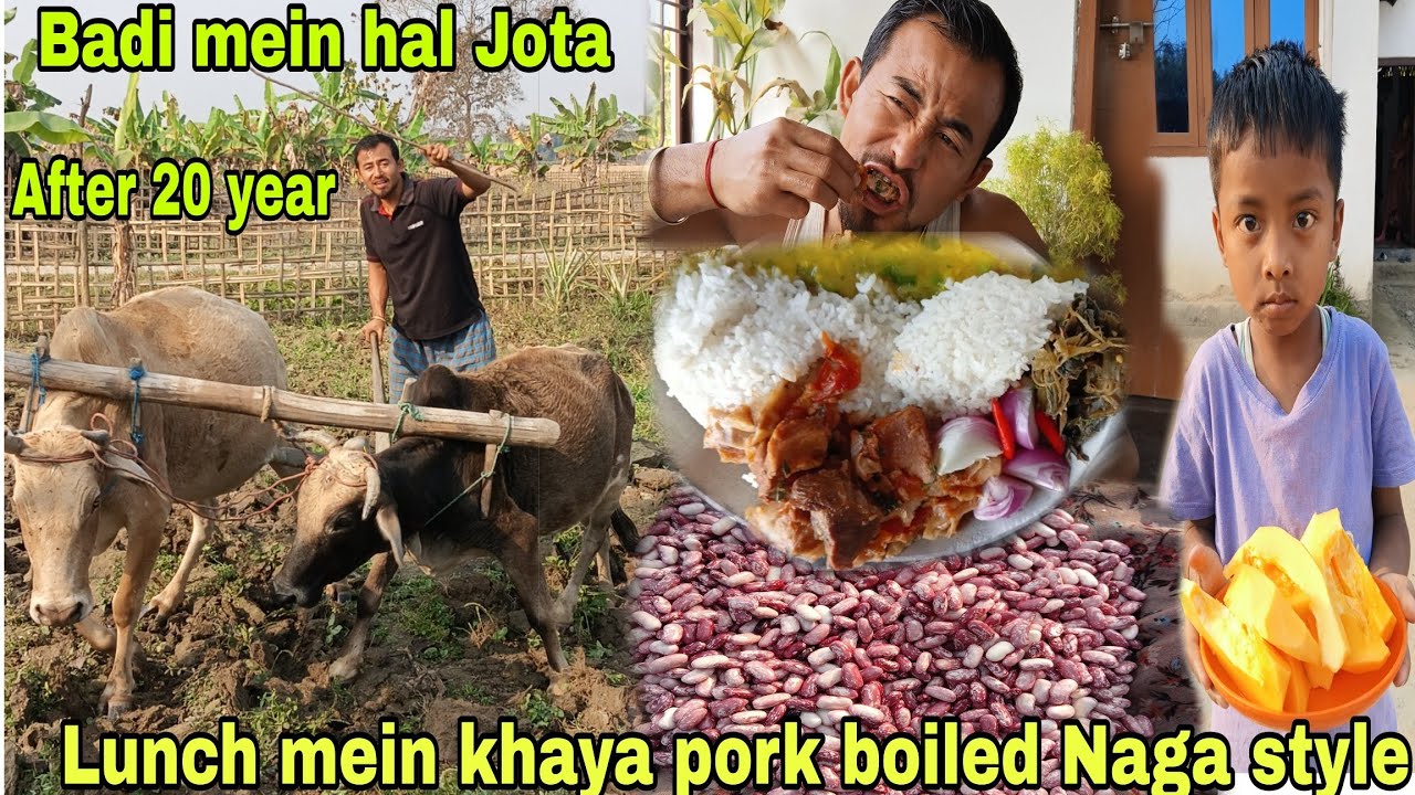 Lunch mein khaya Pork Boiled Naga style me//Badi mein Hal jota 