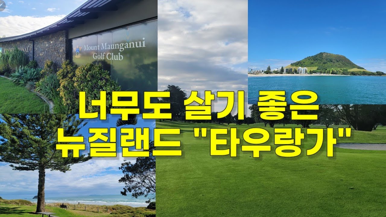 [은퇴부부생활기]뉴질랜드골프여행(18)타우랑가 Tour & Golf ~오클랜드 공항