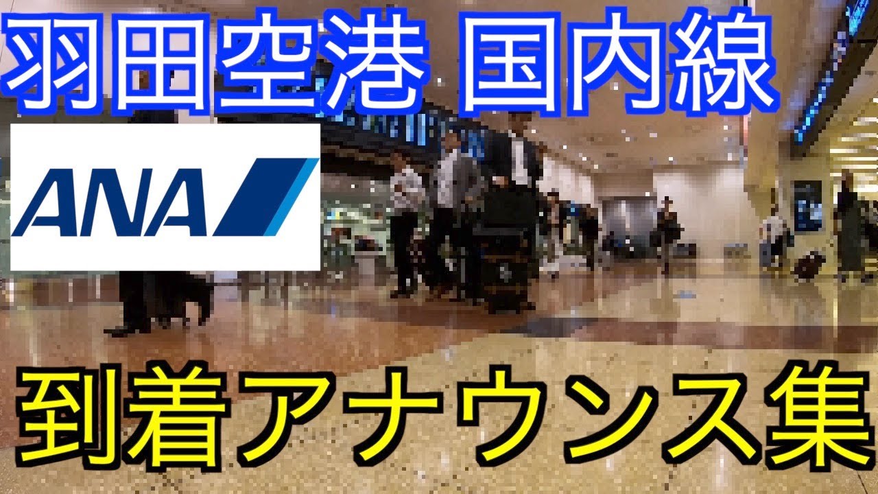 環境音 ANA 羽田空港 第2ターミナル 到着口 アナウンス 全日空