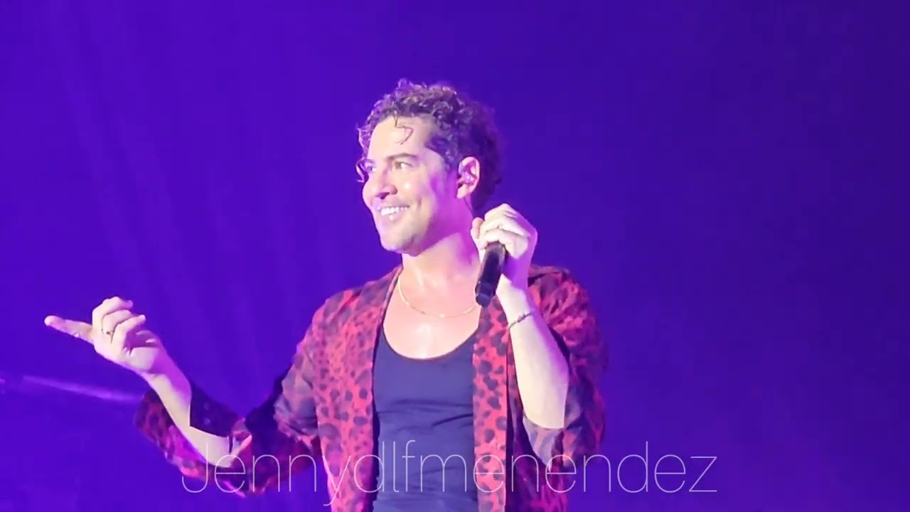 David Bisbal 
