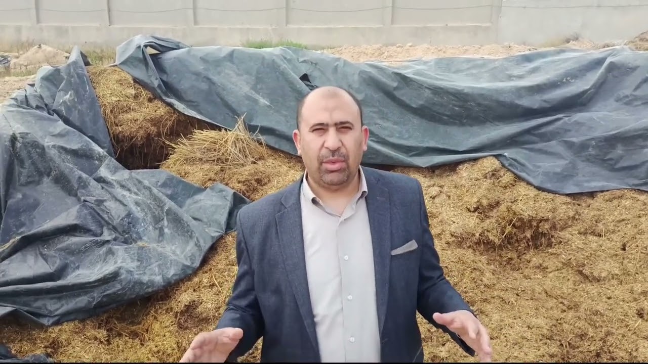 سيلاج القش