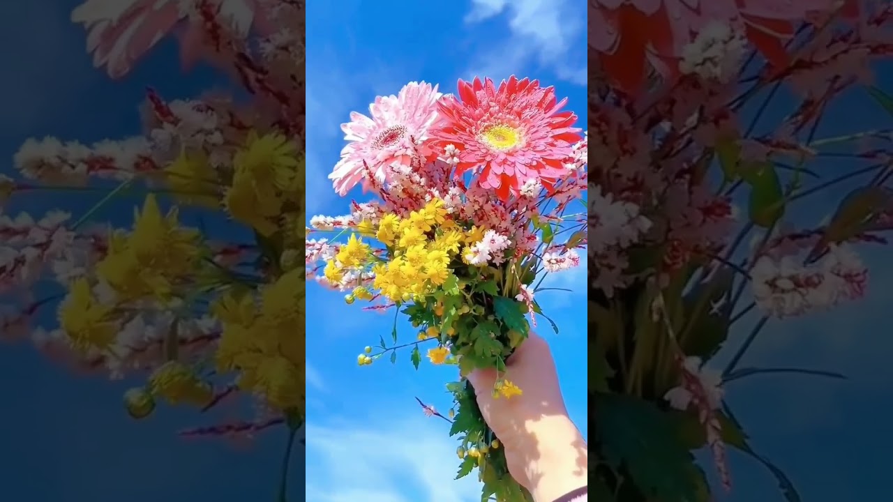 nature beauty beautiful nature #youtube #status #viral #youtubeshorts #viralvedio #viralyoutube
