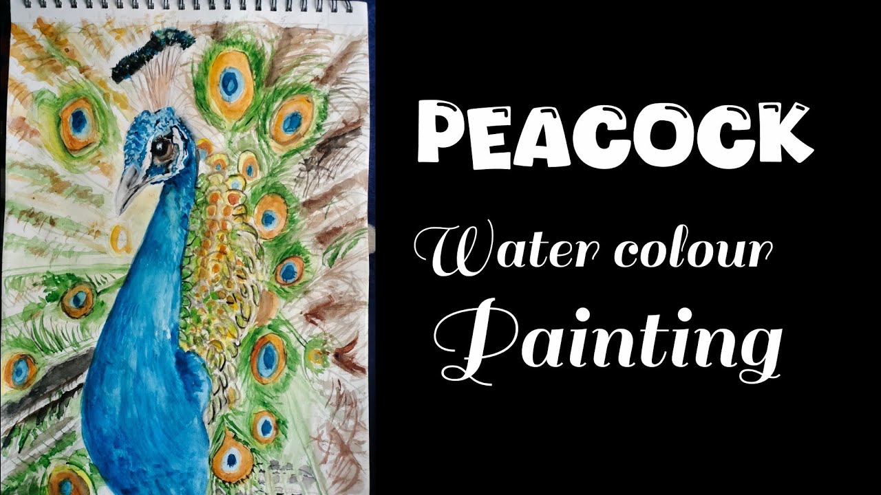 Peacock water colour painting gk 