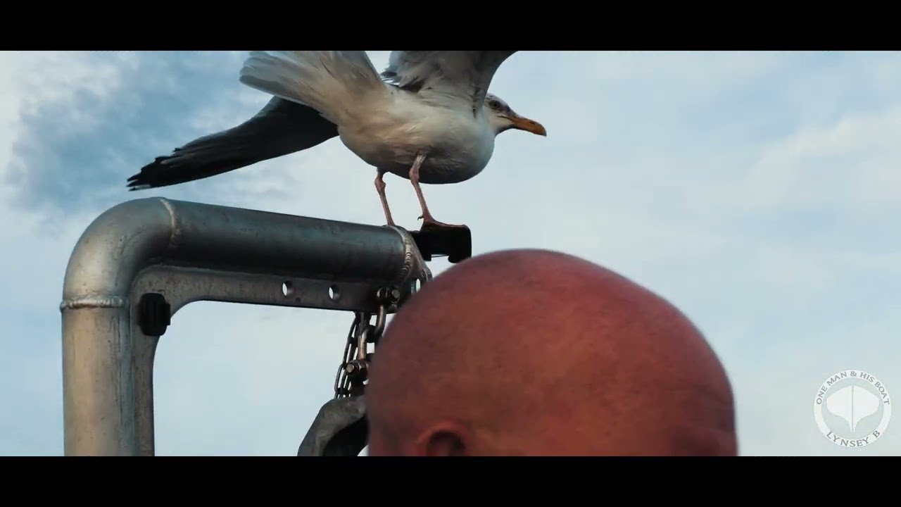 A OMAHB SHORT: Shooting 'B-Roll' Video