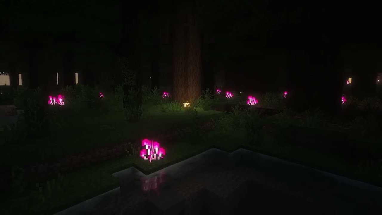 glowing mushrooms | cozy piano music to relax, study, & sleep