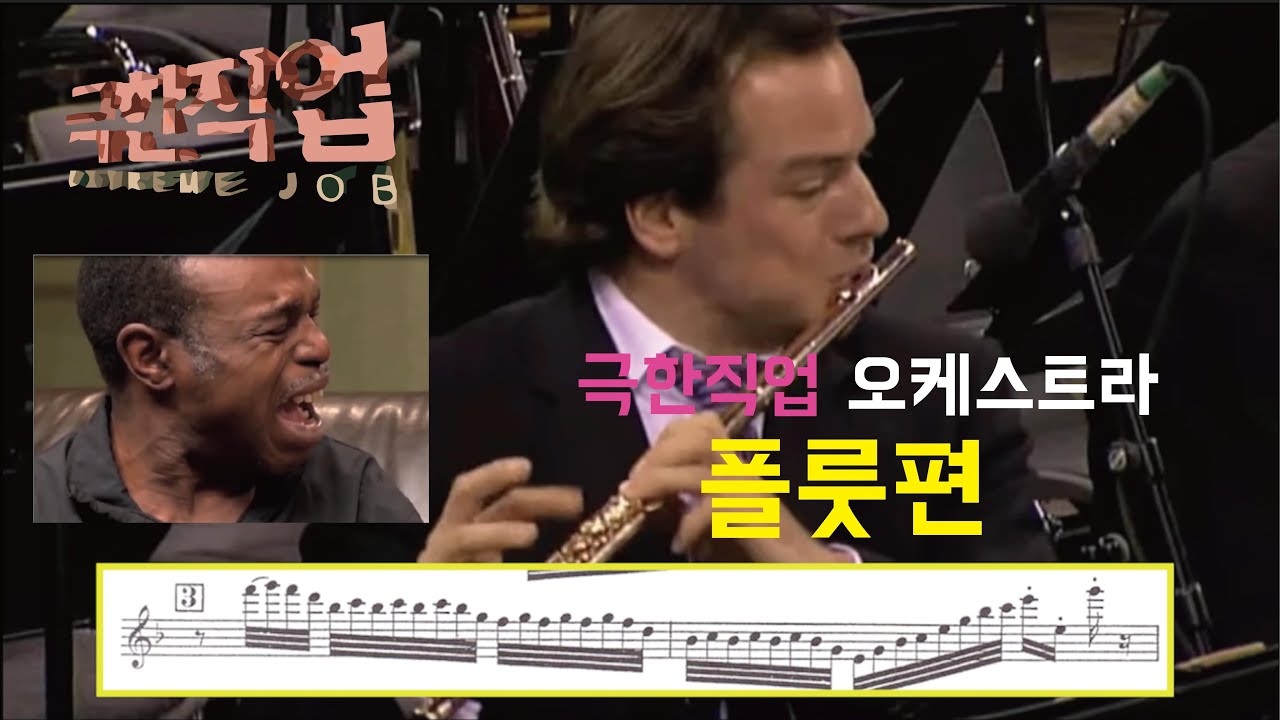 극한직업 오케스트라 - 플룻 An Extreme Job, Orchestra - Flute
