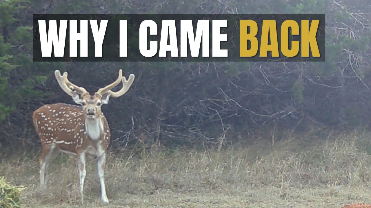 Why I Came Back to Hunting in 2022 | A Texas Hill Country Story