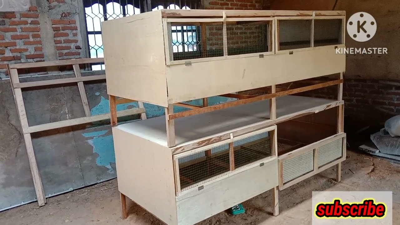 Kandang Minimalis Untuk DOC Kap.200 Ekor Cuma Modal 300K