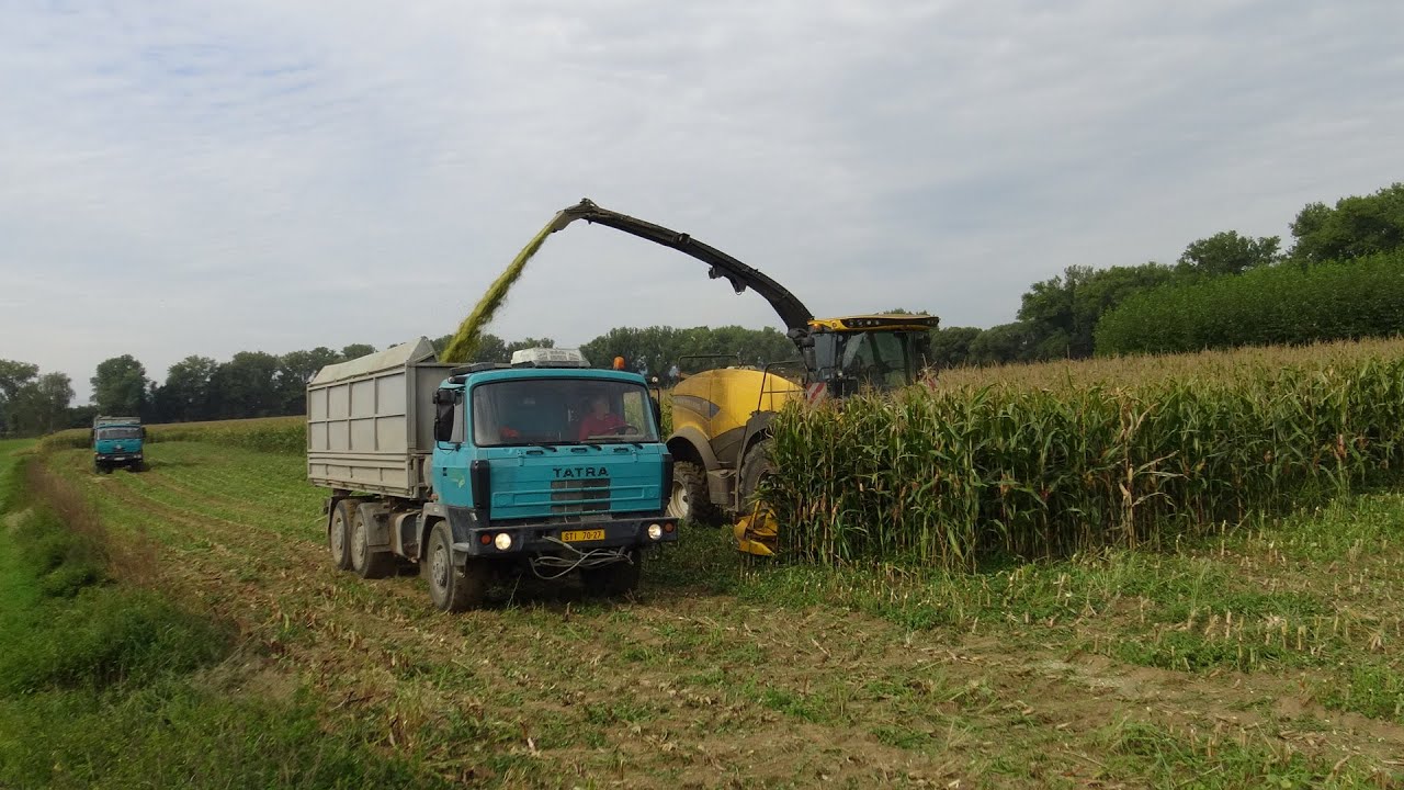 TATRA 815 AGRO / BIOPLYNKA PŘEŠŤOVICE  SILÁŽE.