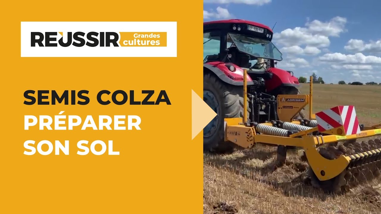 Colza : 5 conseils pour bien préparer son sol avant les semis