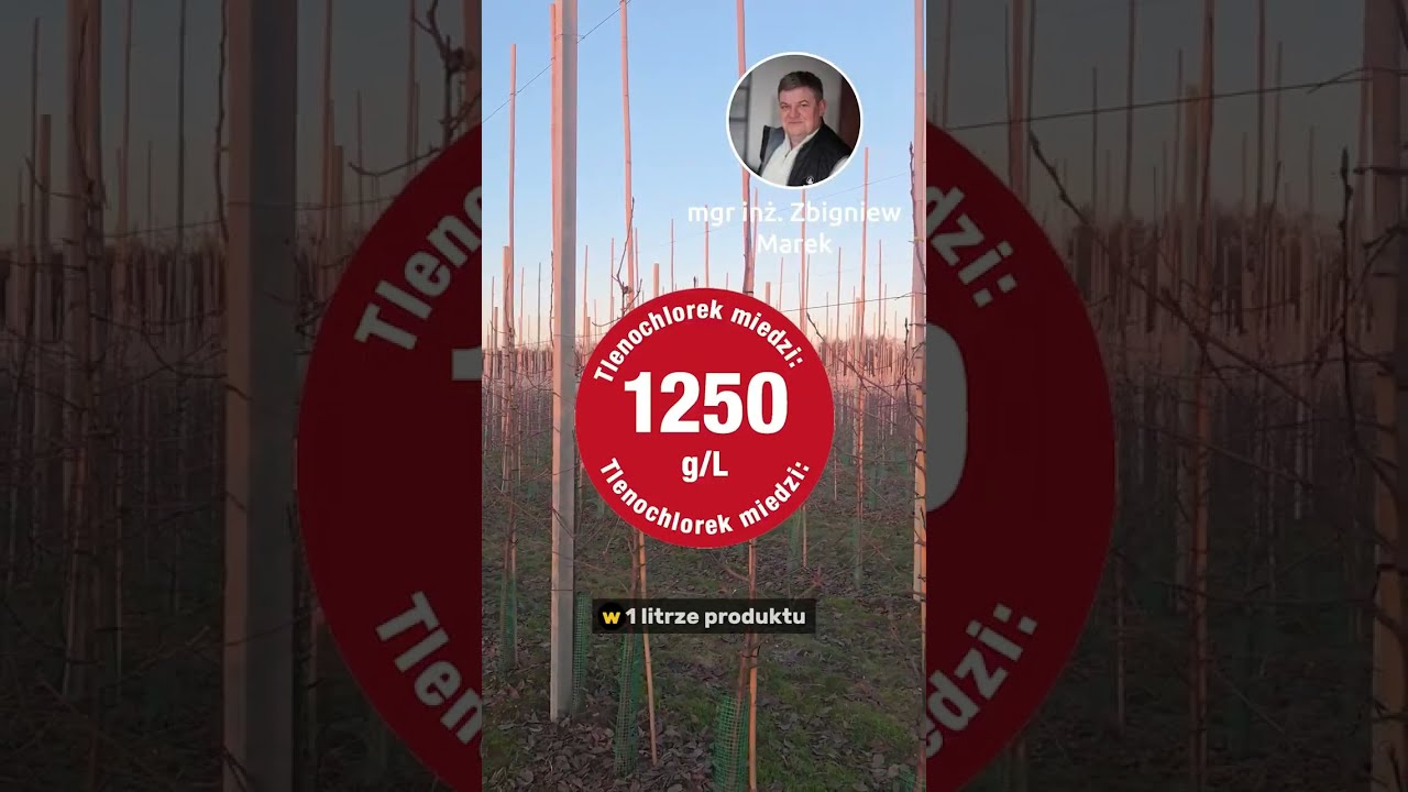 Jakie produkty polecamy po zimie? - odmiana Burgred - Zbigniew Marek
