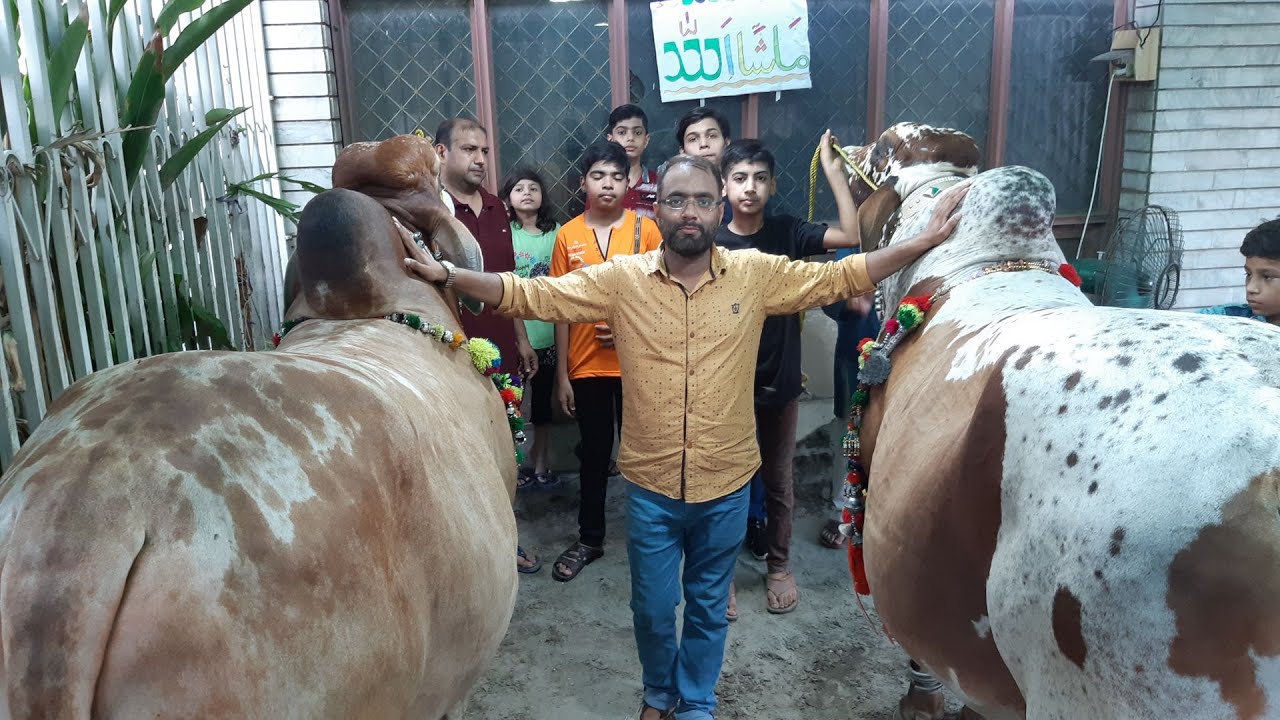 SHER E LAHORE | EID UL ADHA 2020 | BAKRA MANDI PAKISTAN