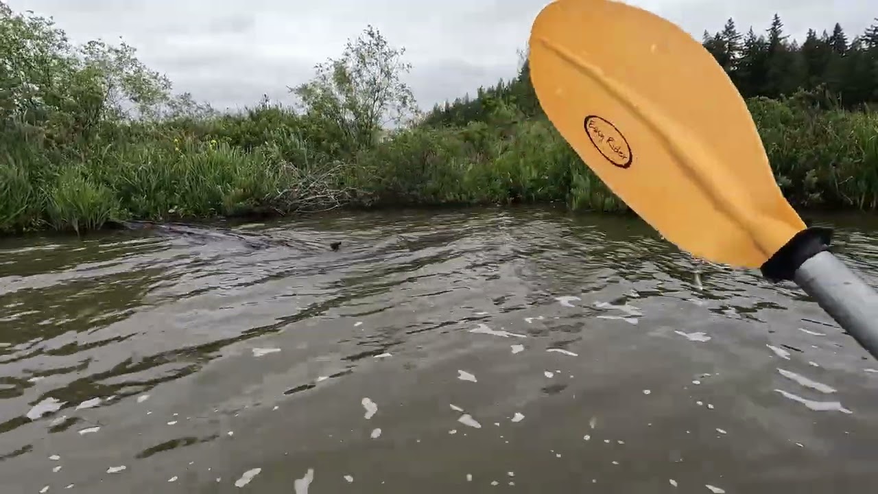 Silver Lake Kayaking 6.11.25