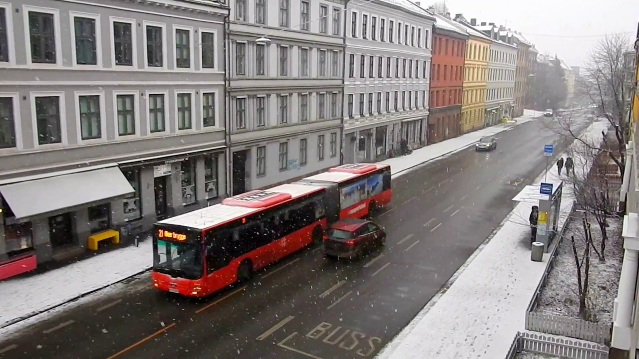 Snowfall in Oslo, Norway