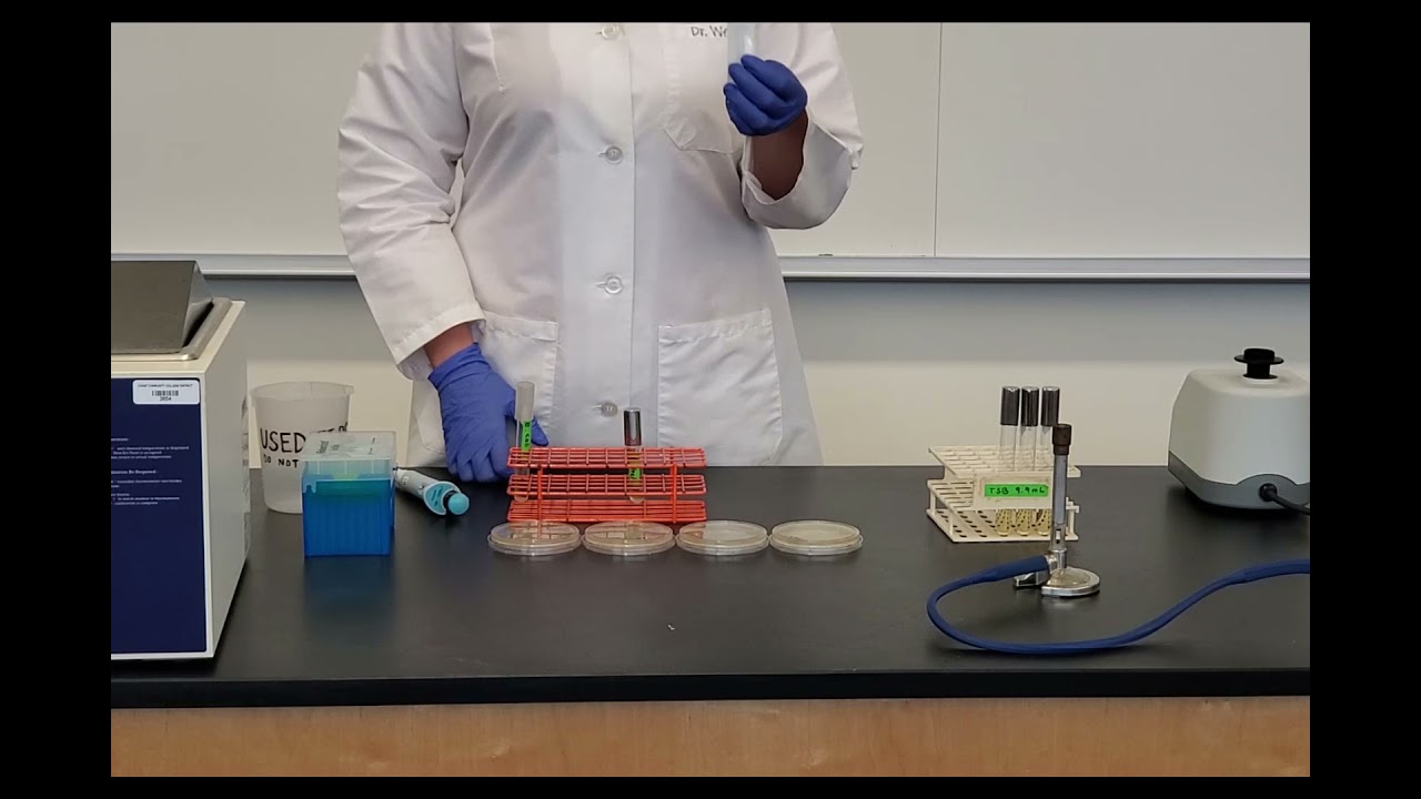 Lab 6-5: Plaque Assay