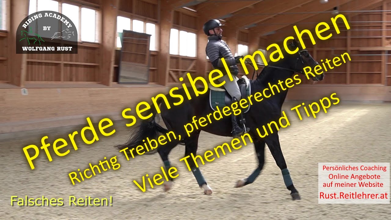 F65 Wann tritt ein Pferd mit dem Hinterbein genügend unter? Reitertipp! Falsches/Richtiges Reiten.