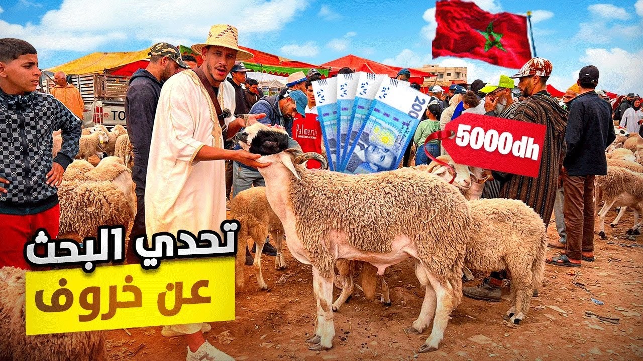 مشيت باش نشري حولي الوليد 🐑فسوق الأربعاء ولاد جرار 🇲🇦غادي تصدمو مع هاد شناقة 5000dhأو مقنعوش‼️