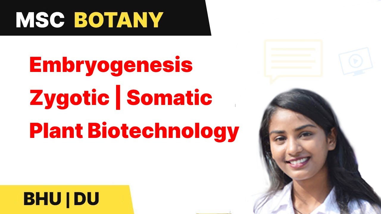 Plant Tissue Culture | Embryogenesis | Zygotic | Somatic | Plant Biotechnology | BHU | DU |In Hindi
