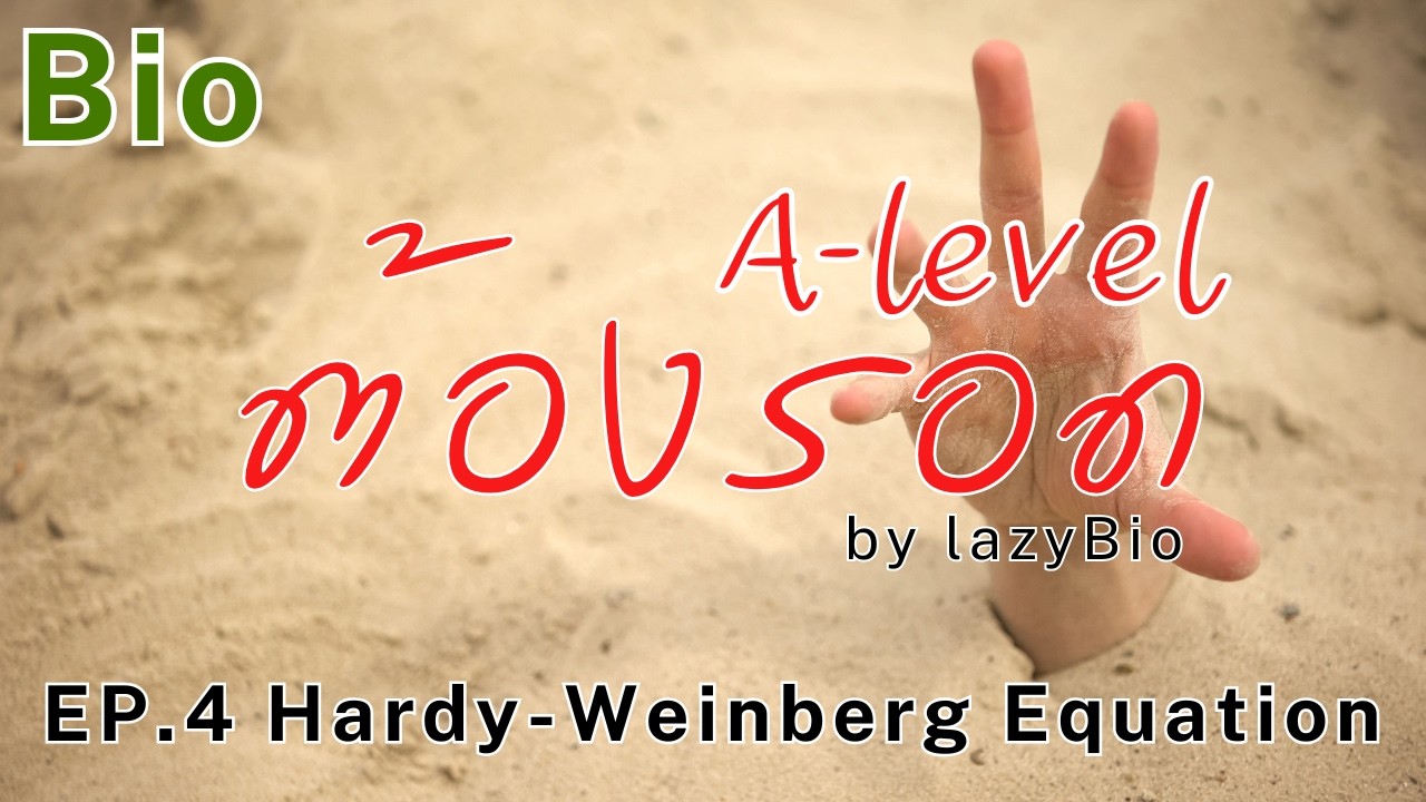 A-level ต้องรอด (ชีวะ) EP.4 Hardy-Weinberg Equation