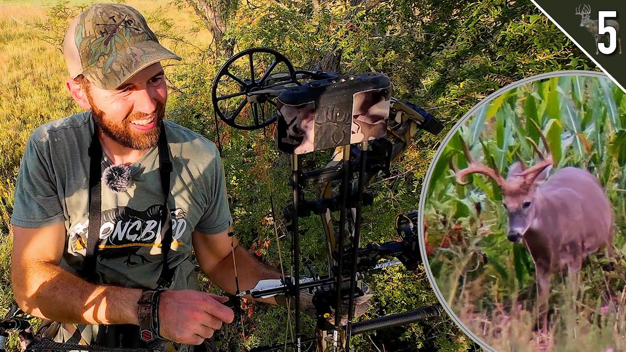 Public Land Bow Hunting in HOT Weather 🔥 (Will Bucks Move??)