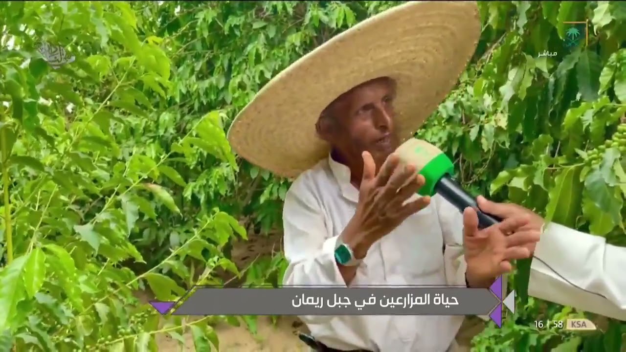 قصة مزارع يعيش وحيدًا منذُ 26 عامًا في جبل ريمان.