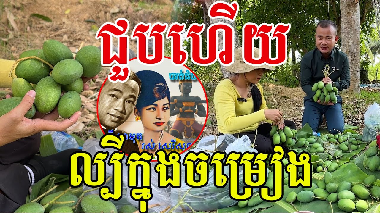 ជួបហេីយ​ ល្បីណាស់ក្នុងបទចម្រៀង​ ស្វាយខ្ទិះពីដេីម