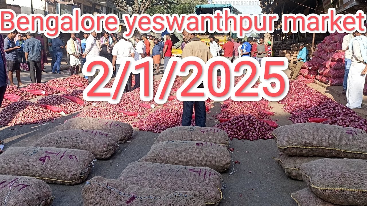 2/1/2025 Bangalore Yeshwantpur market onion price