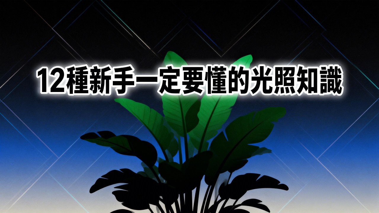 12 種新手一定要懂的光照知識