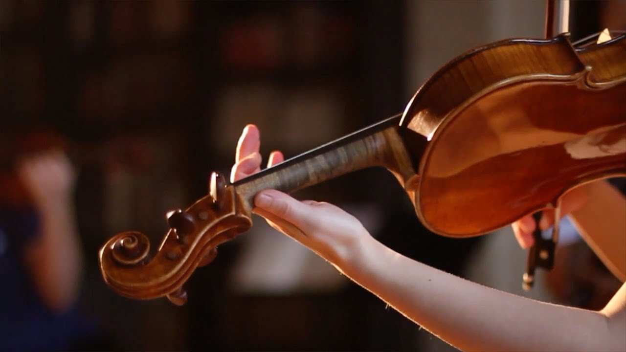 Anhedonics: why some people don't like music