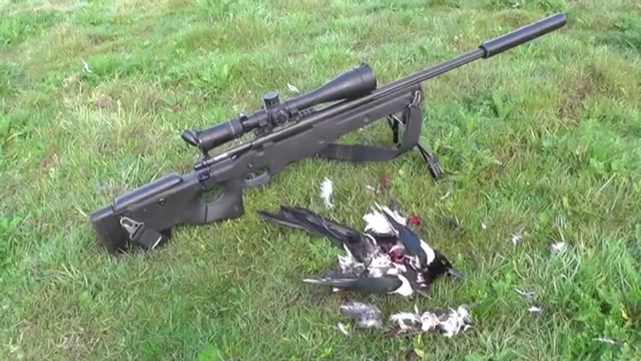 468 yard magpie shot