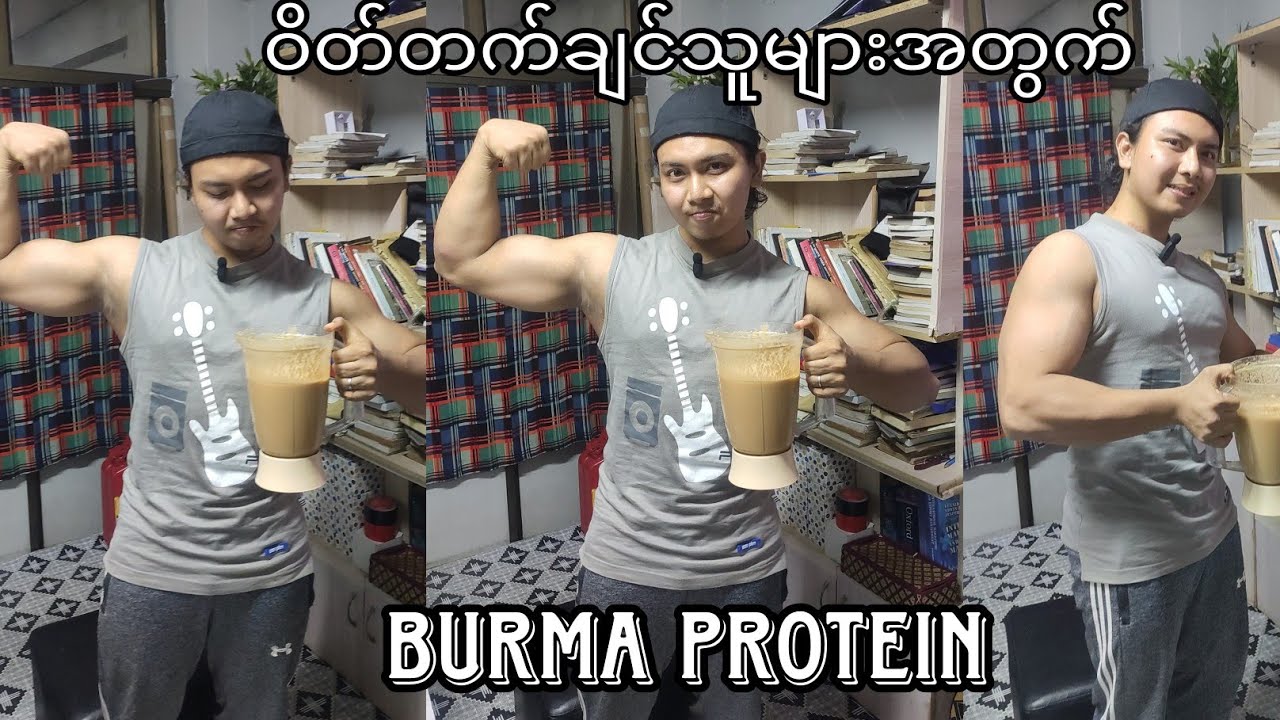 Burma Protein(Weight Gain)